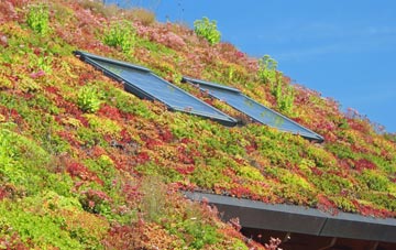 Killen living roof systems