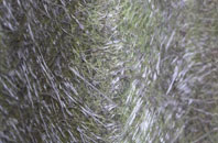 Killen fibreglass roof work